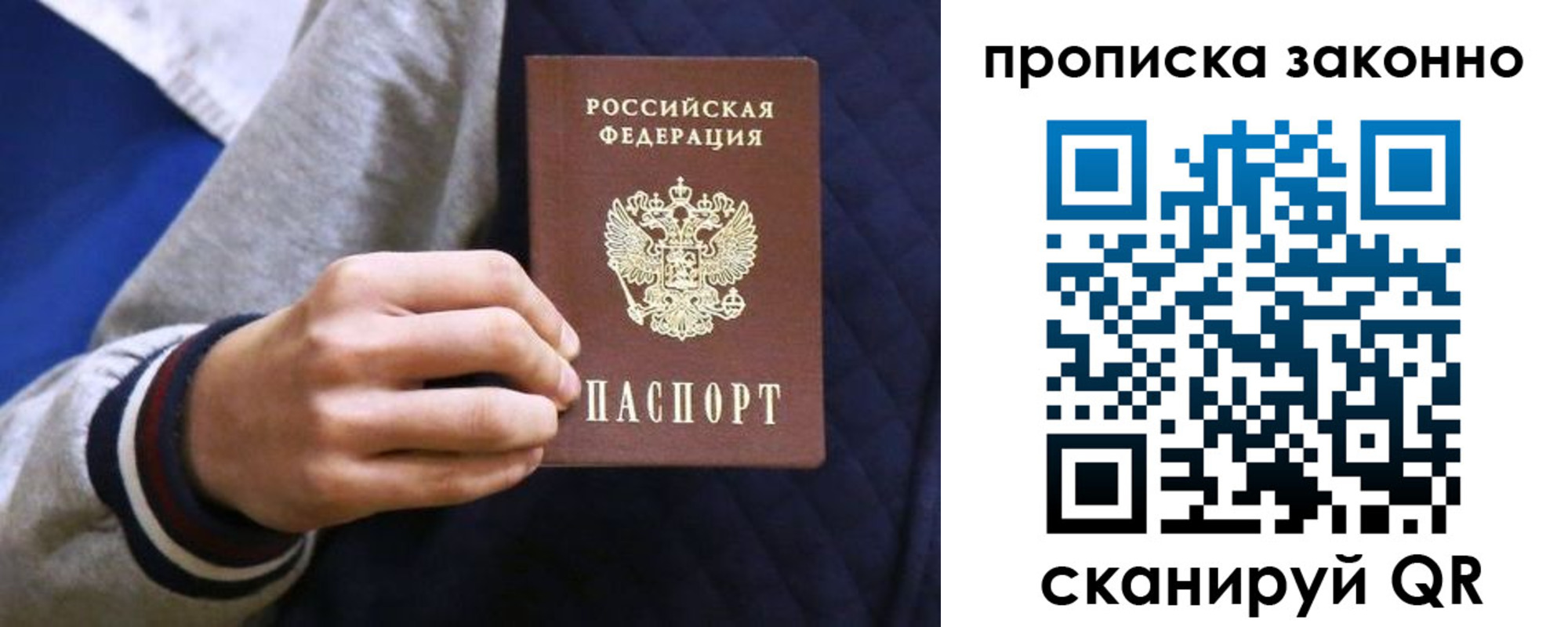 прописка гарантия в Лыткарино